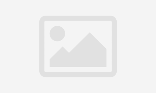 Intélligence émotionnelle pour les managers